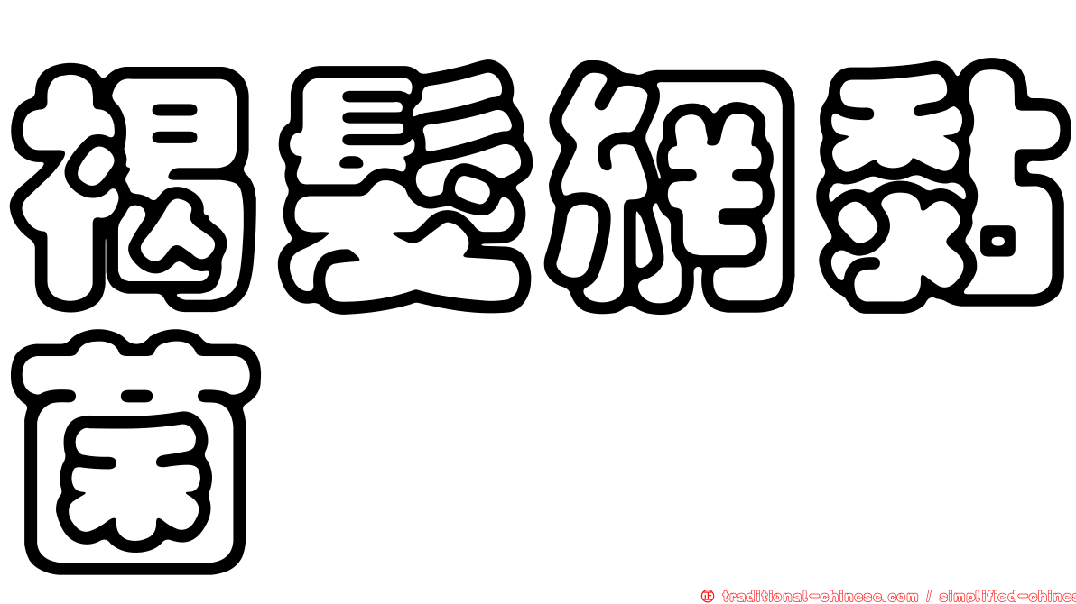 褐髮網黏菌