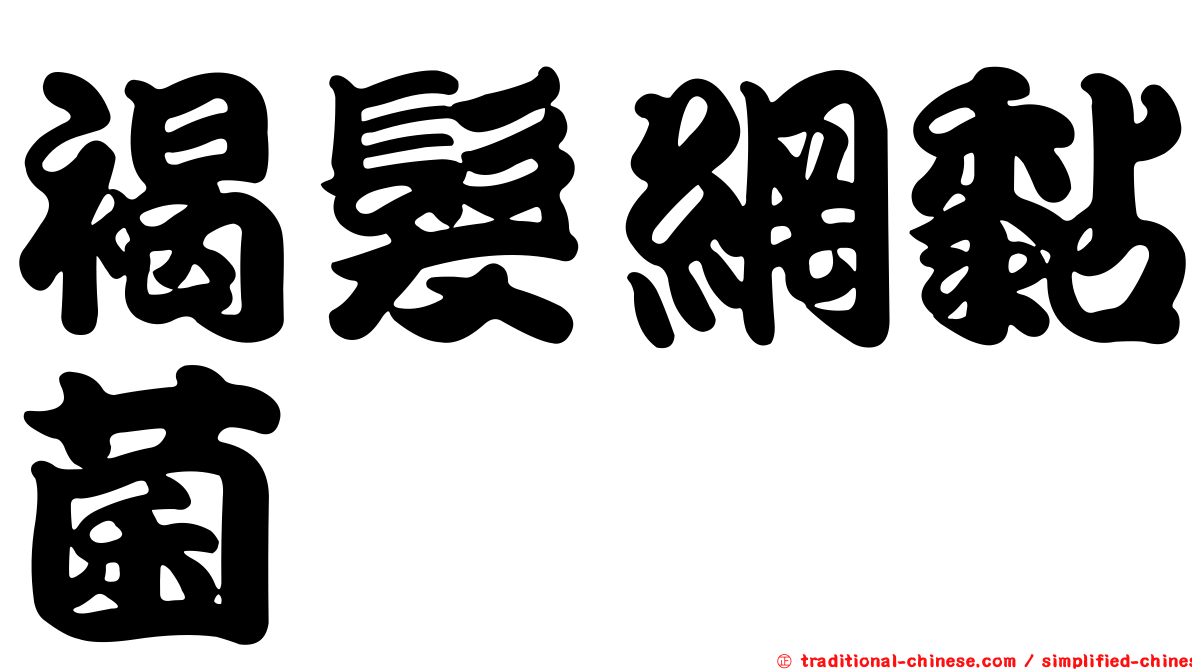 褐髮網黏菌