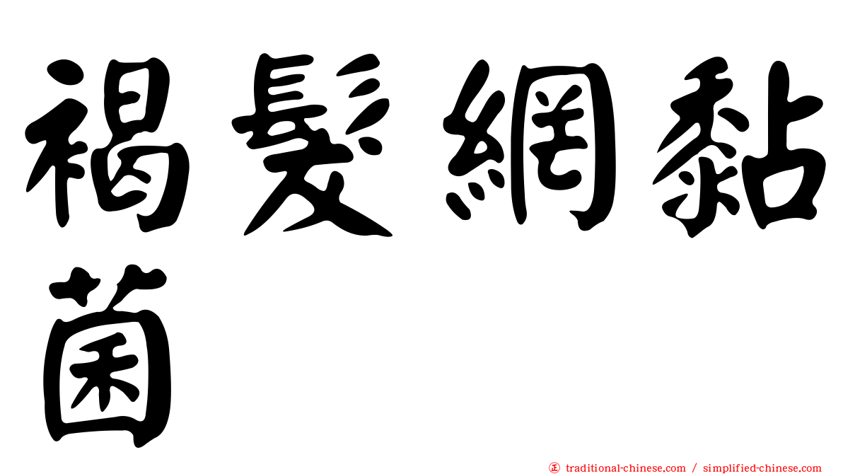 褐髮網黏菌