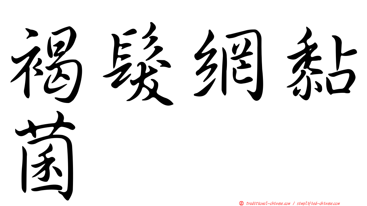 褐髮網黏菌