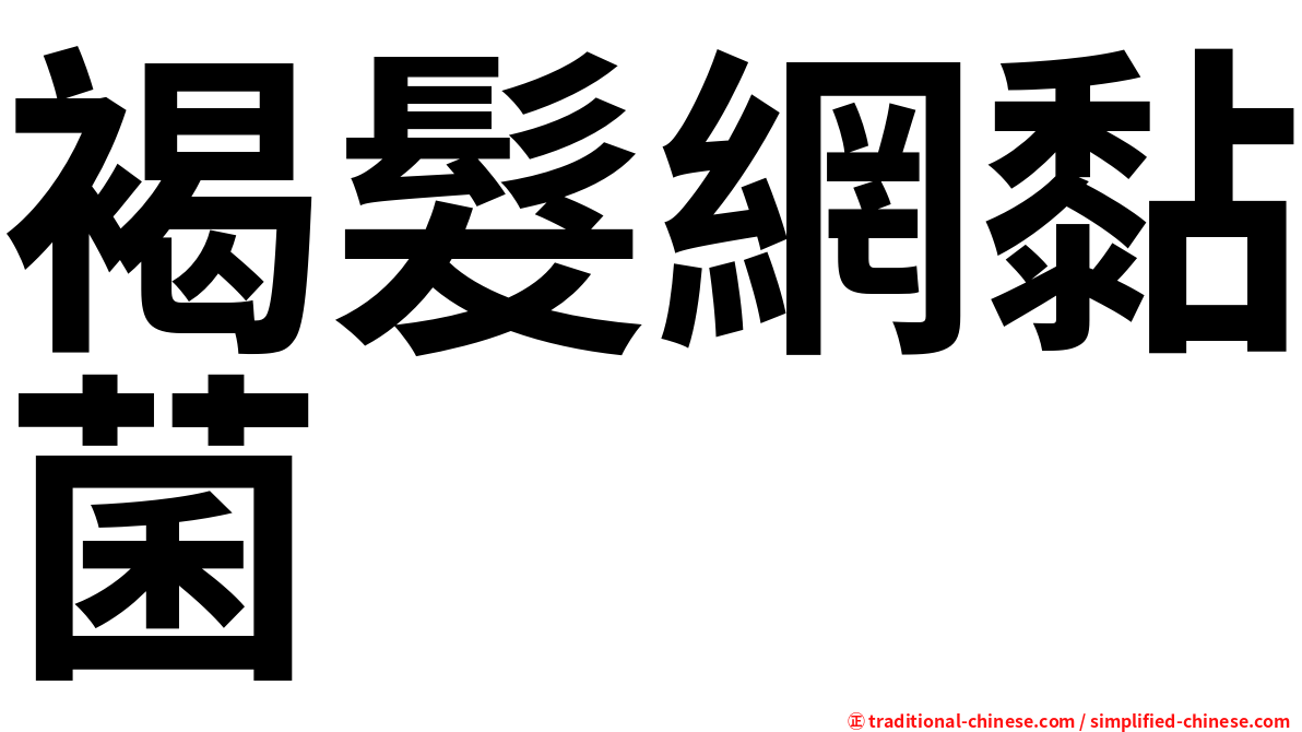 褐髮網黏菌