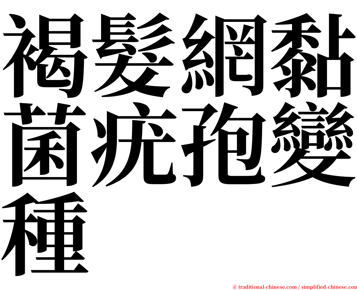 褐髮網黏菌疣孢變種 serif font