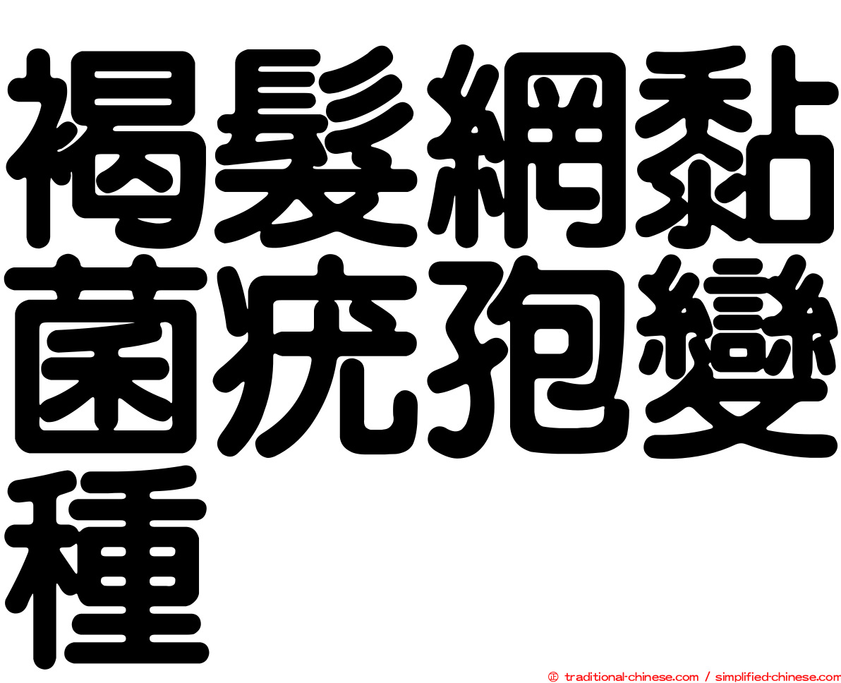 褐髮網黏菌疣孢變種