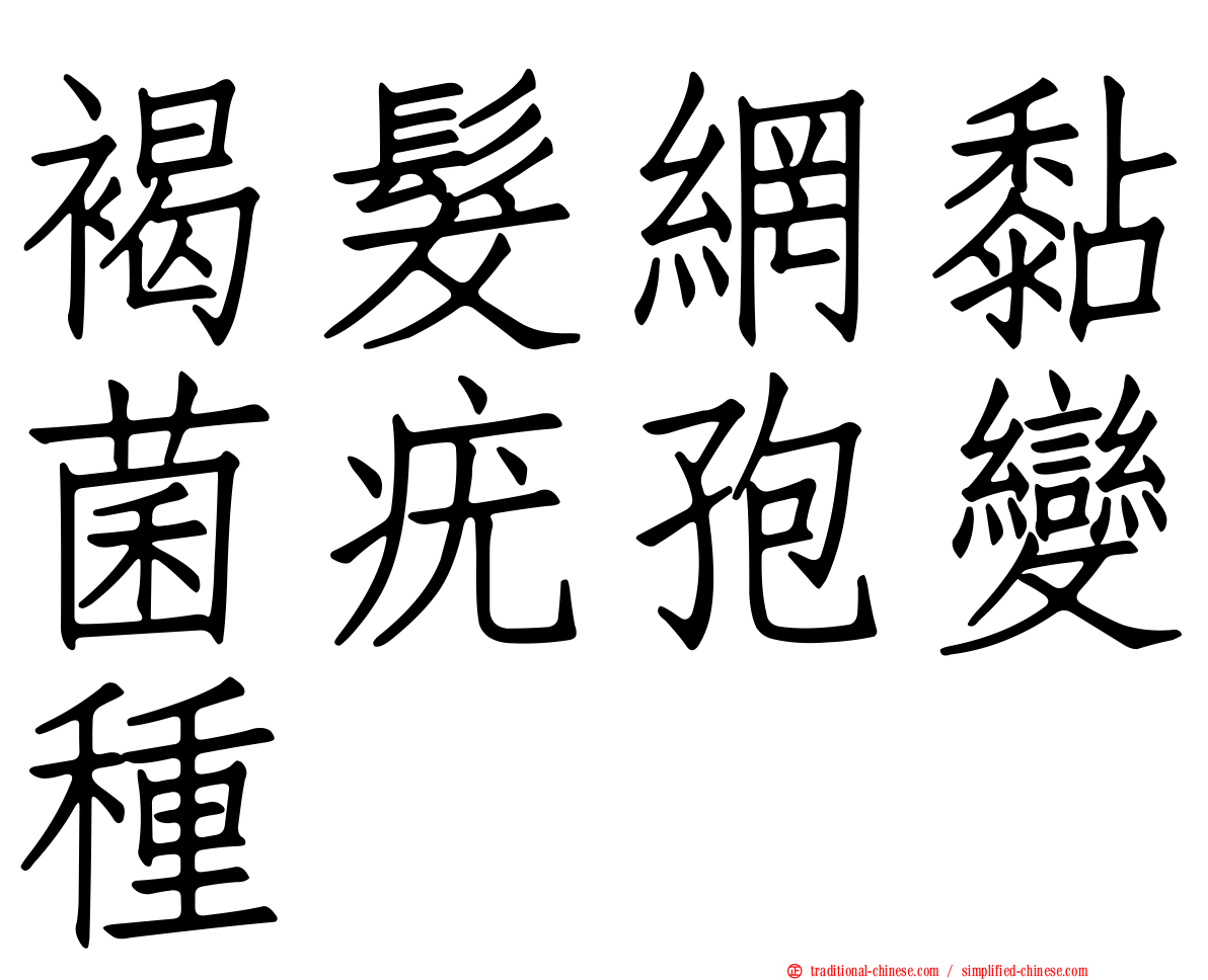 褐髮網黏菌疣孢變種