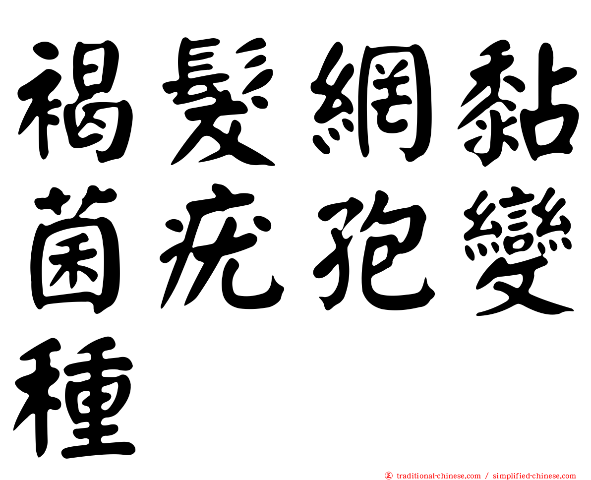 褐髮網黏菌疣孢變種