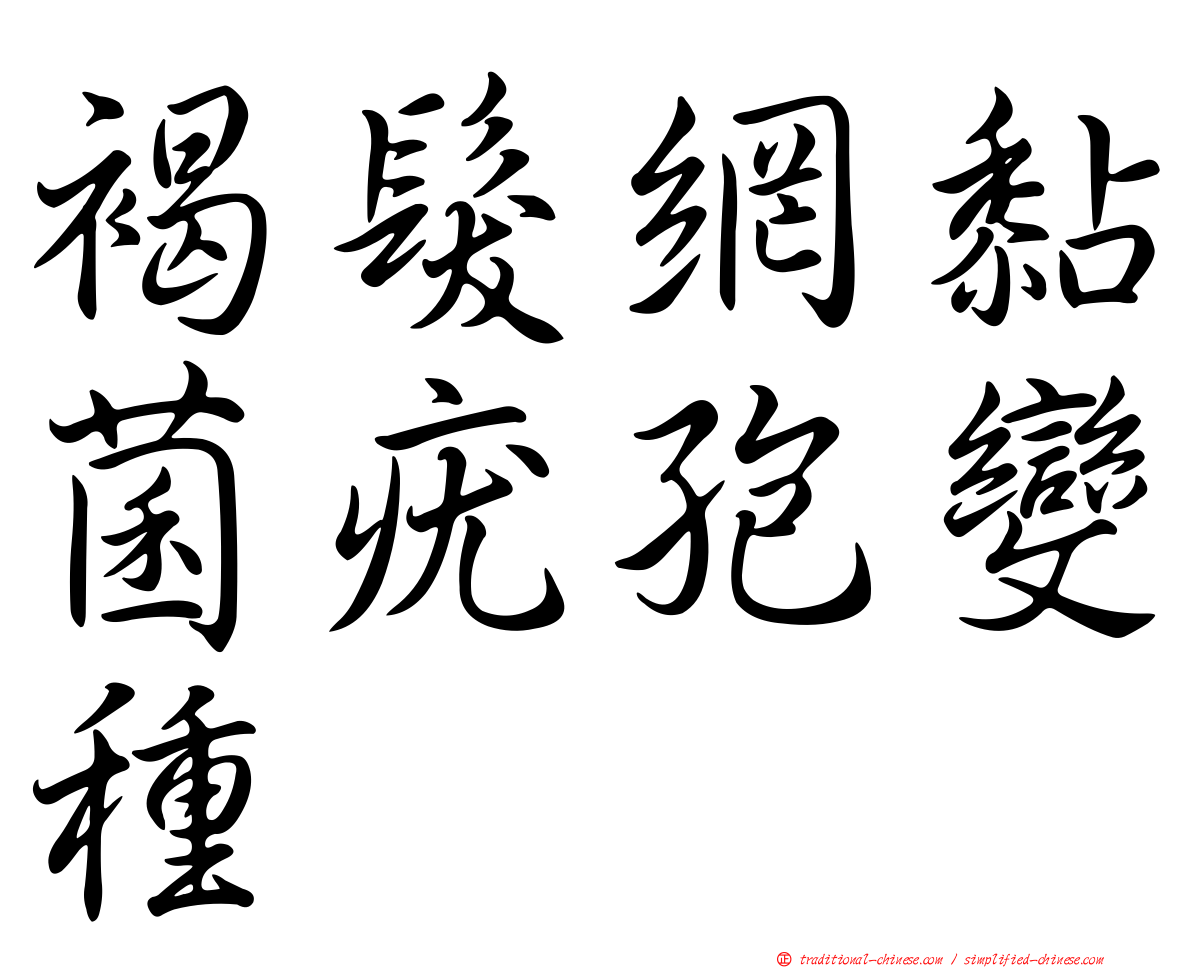 褐髮網黏菌疣孢變種
