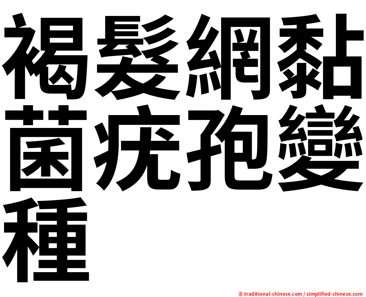 褐髮網黏菌疣孢變種