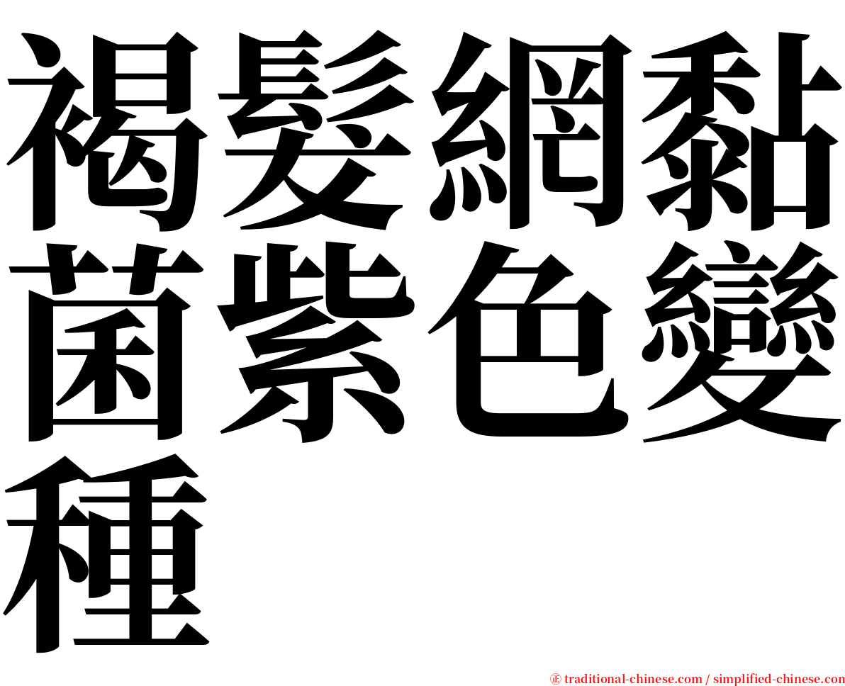 褐髮網黏菌紫色變種 serif font