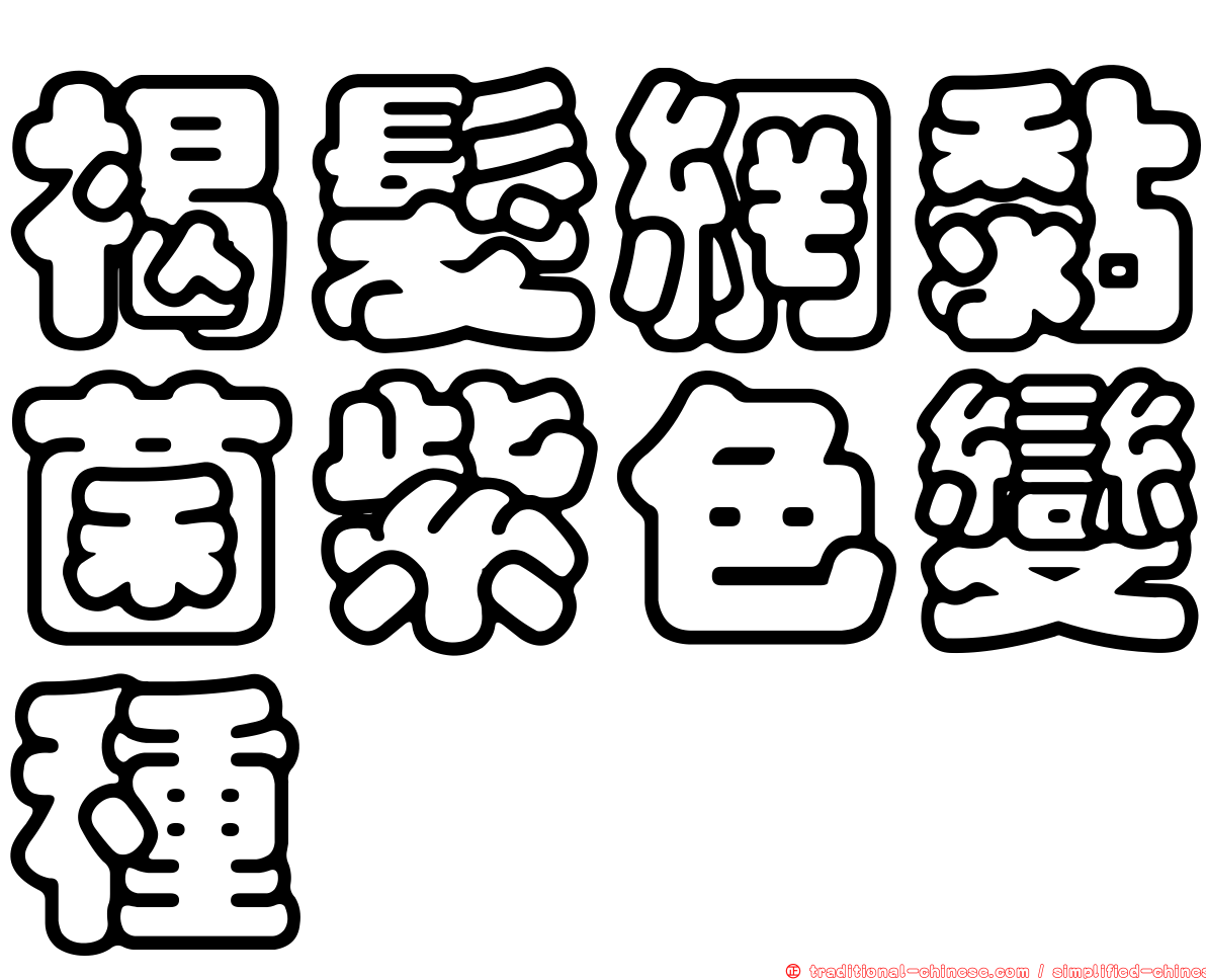 褐髮網黏菌紫色變種