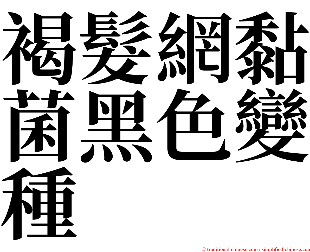 褐髮網黏菌黑色變種 serif font