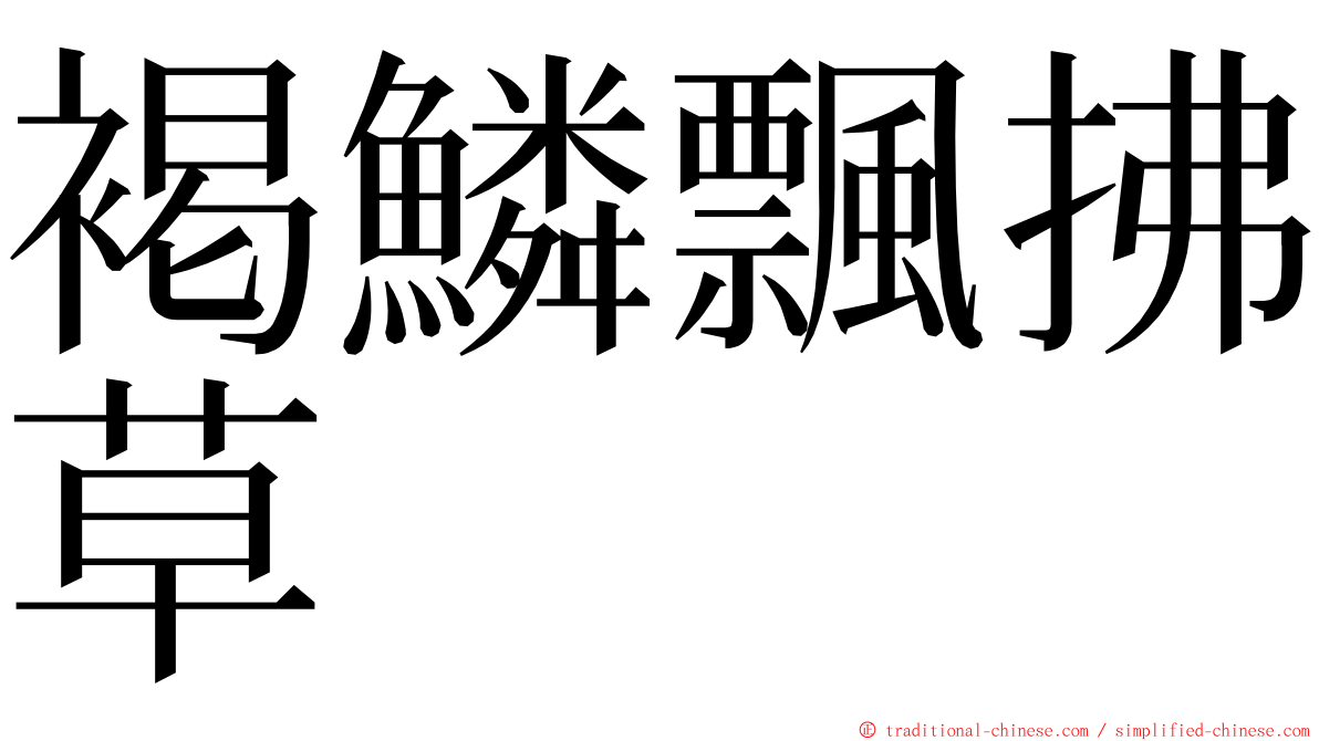 褐鱗飄拂草 ming font