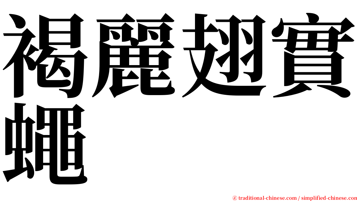 褐麗翅實蠅 serif font