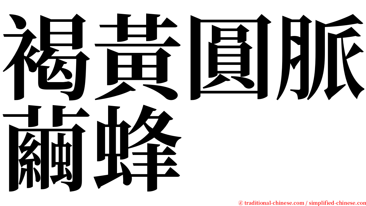 褐黃圓脈繭蜂 serif font