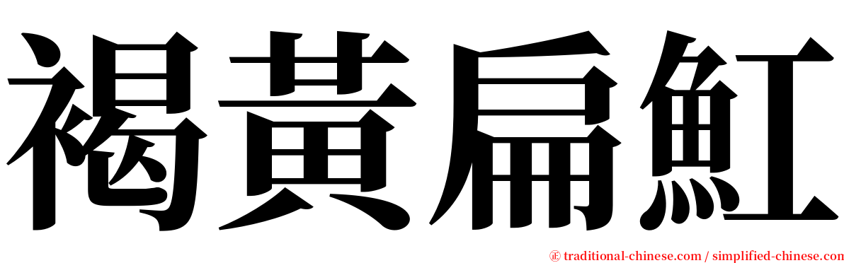 褐黃扁魟 serif font