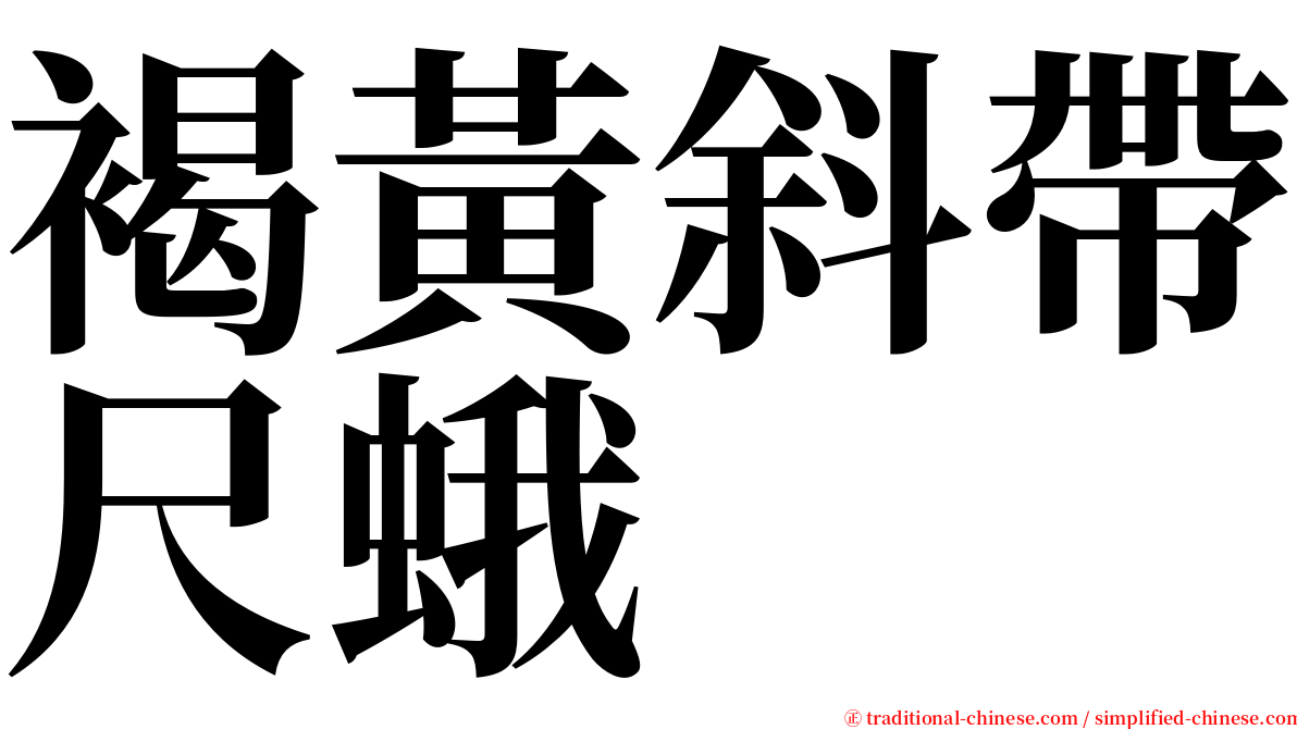 褐黃斜帶尺蛾 serif font