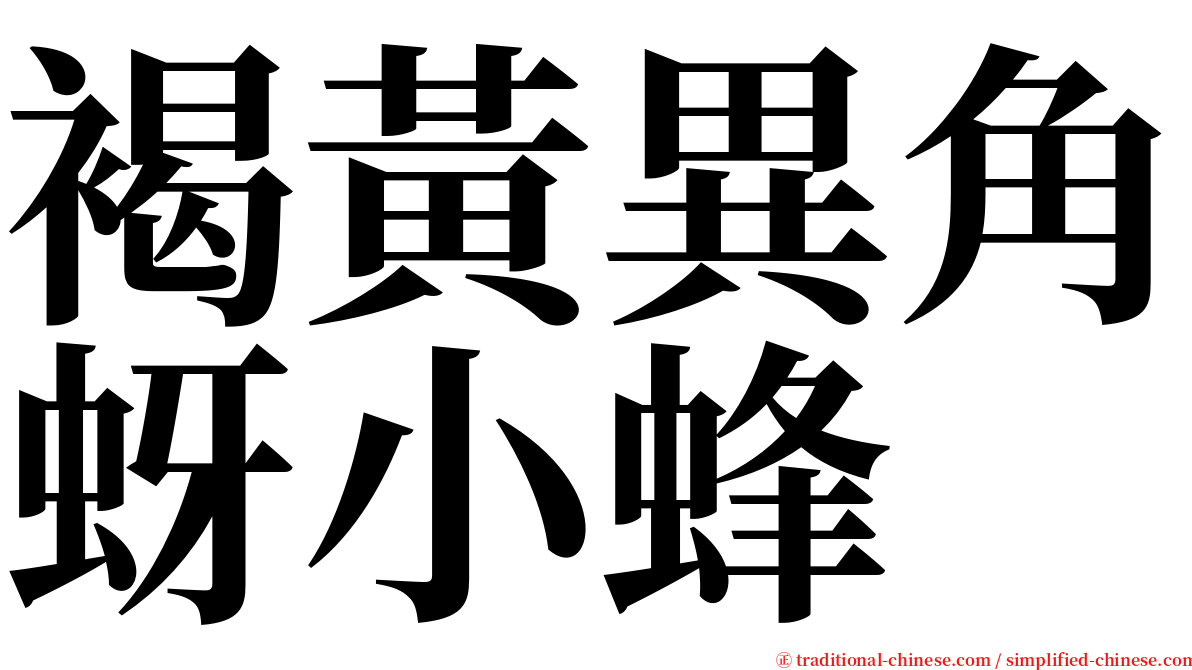 褐黃異角蚜小蜂 serif font