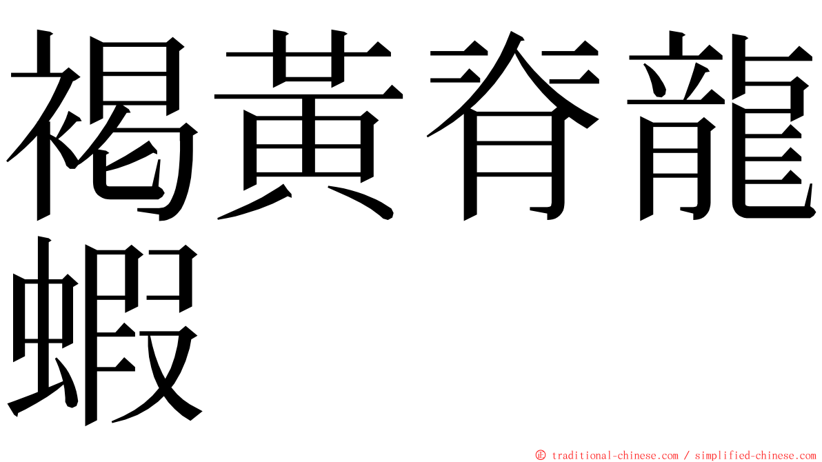 褐黃脊龍蝦 ming font