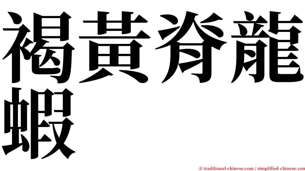 褐黃脊龍蝦 serif font