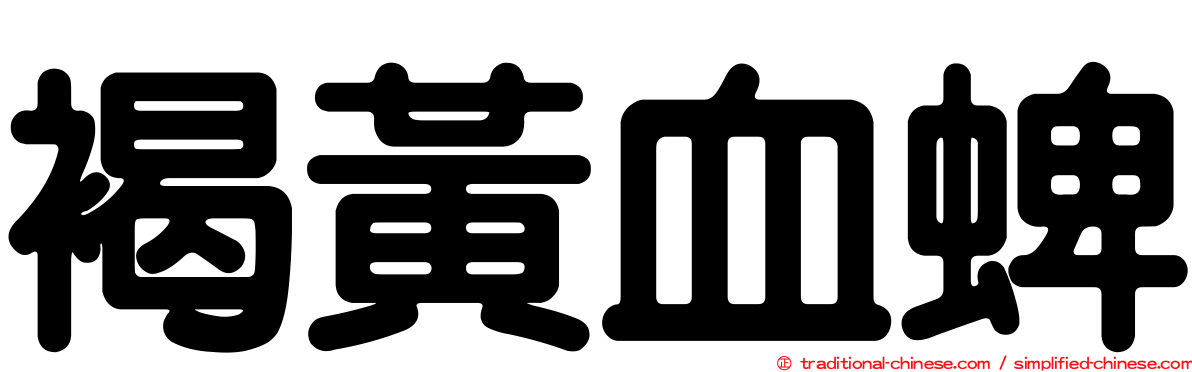 褐黃血蜱