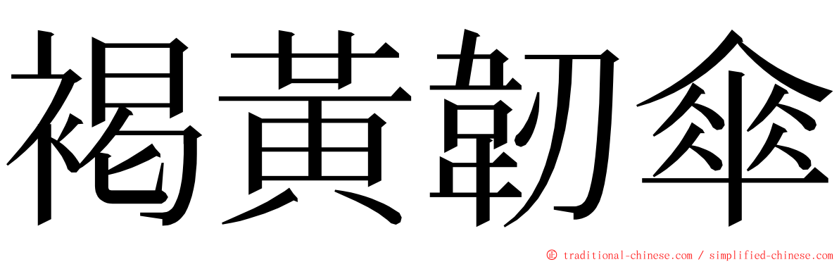 褐黃韌傘 ming font