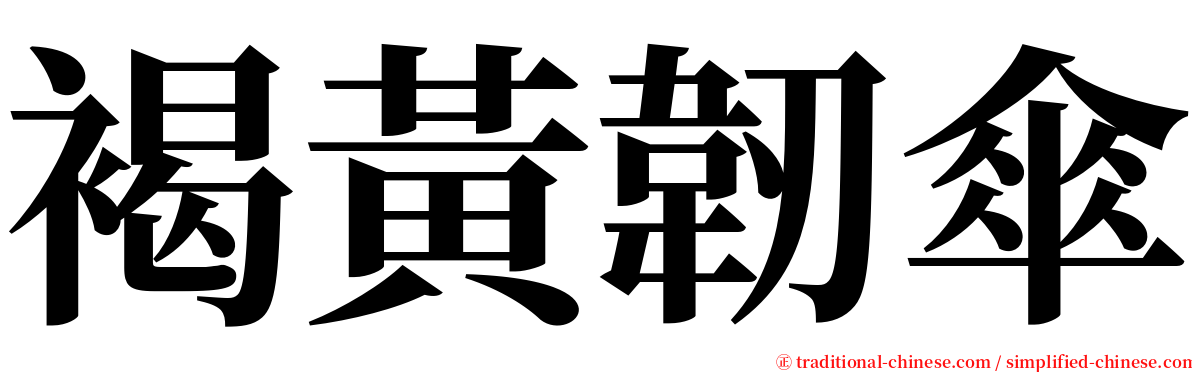 褐黃韌傘 serif font