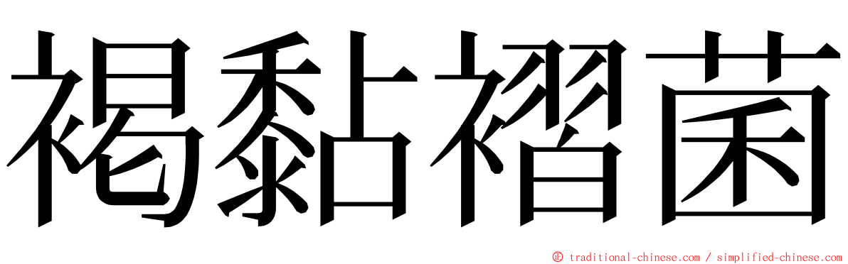 褐黏褶菌 ming font