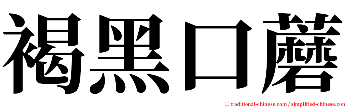 褐黑口蘑 serif font