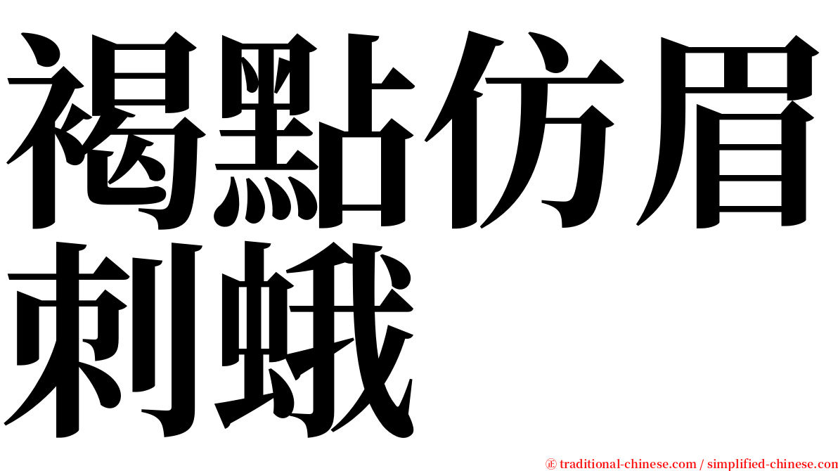 褐點仿眉刺蛾 serif font