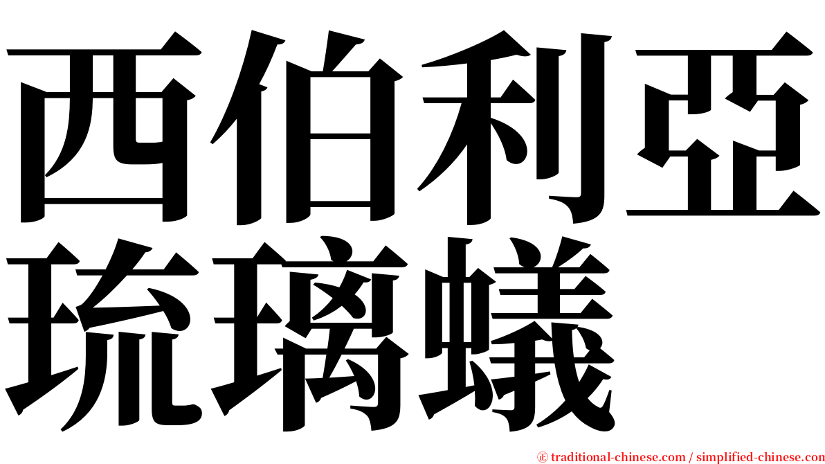 西伯利亞琉璃蟻 serif font