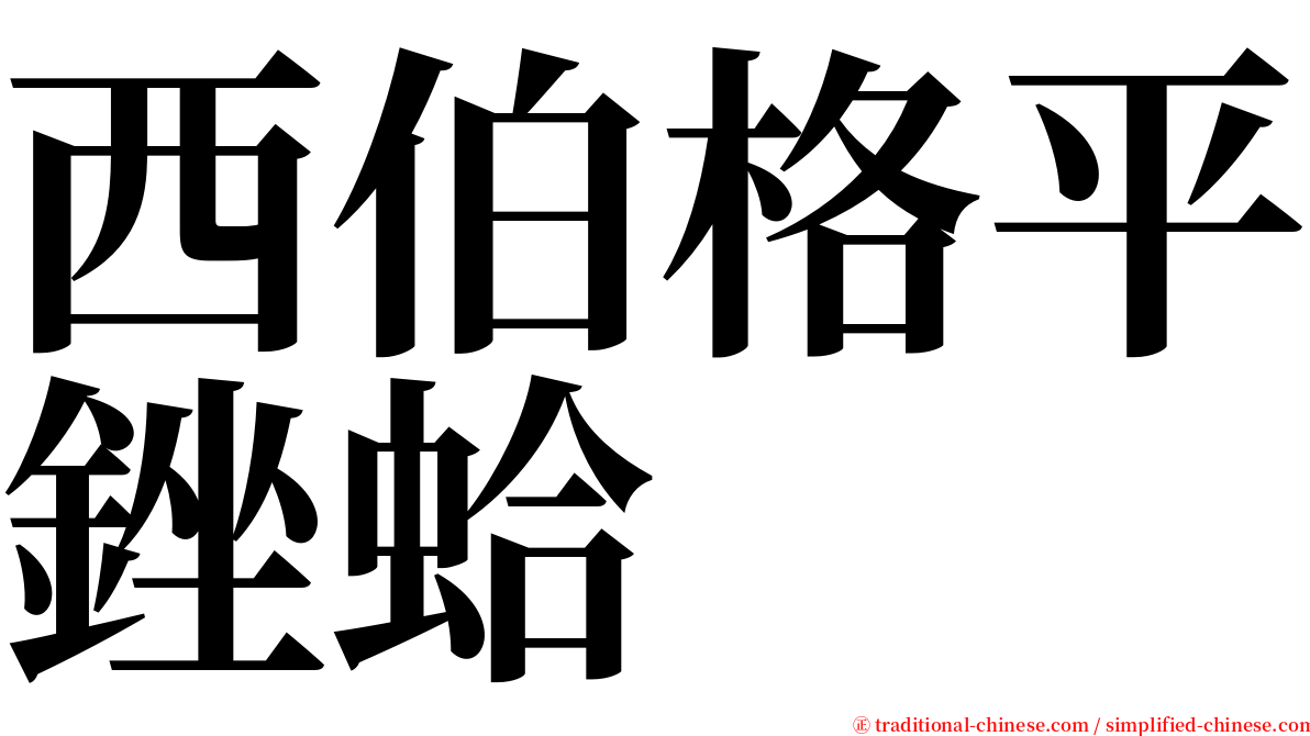 西伯格平銼蛤 serif font