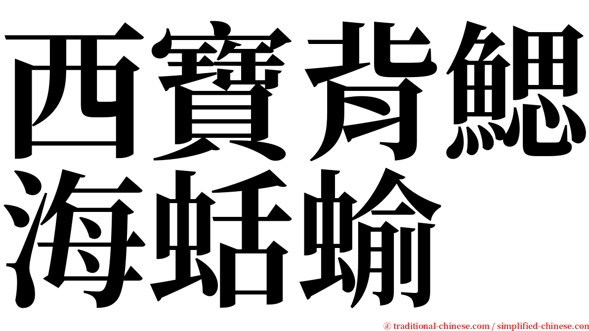 西寶背鰓海蛞蝓 serif font