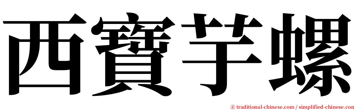 西寶芋螺 serif font