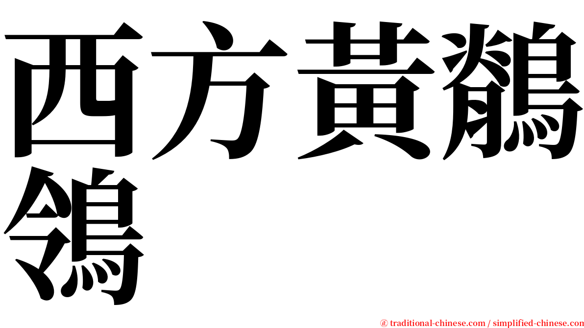 西方黃鶺鴒 serif font