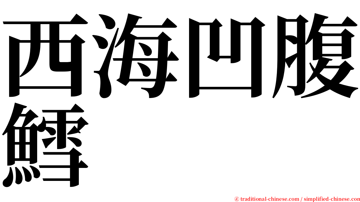 西海凹腹鱈 serif font