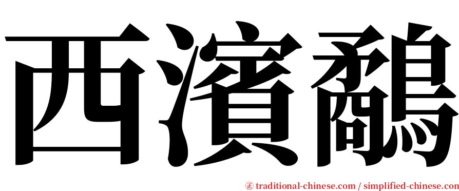 西濱鷸 serif font