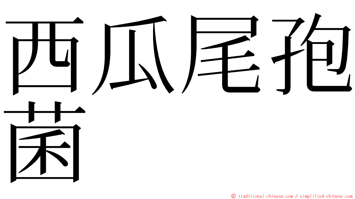 西瓜尾孢菌 ming font