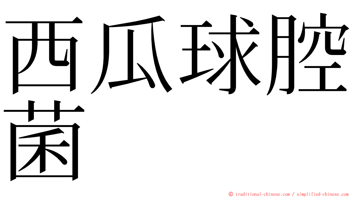 西瓜球腔菌 ming font