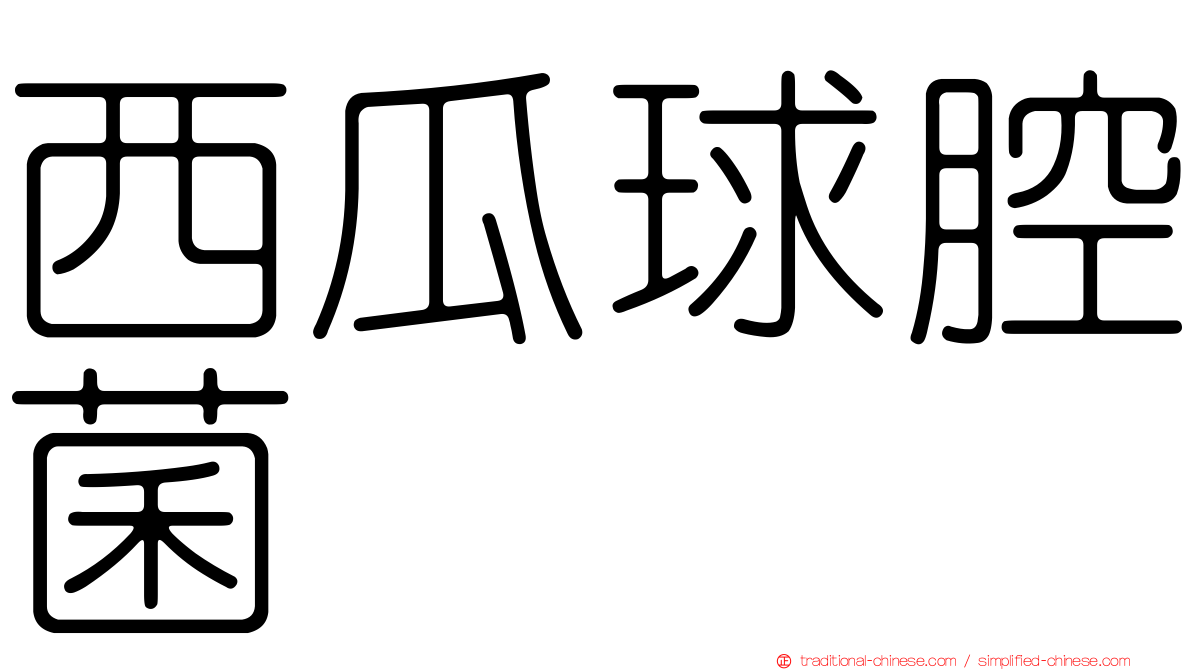 西瓜球腔菌