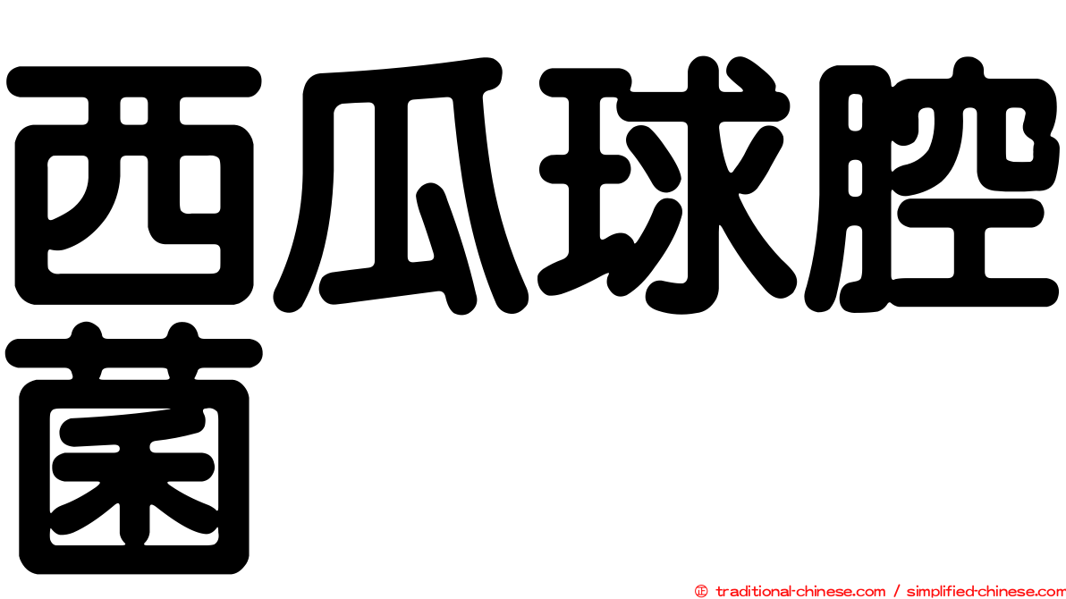 西瓜球腔菌