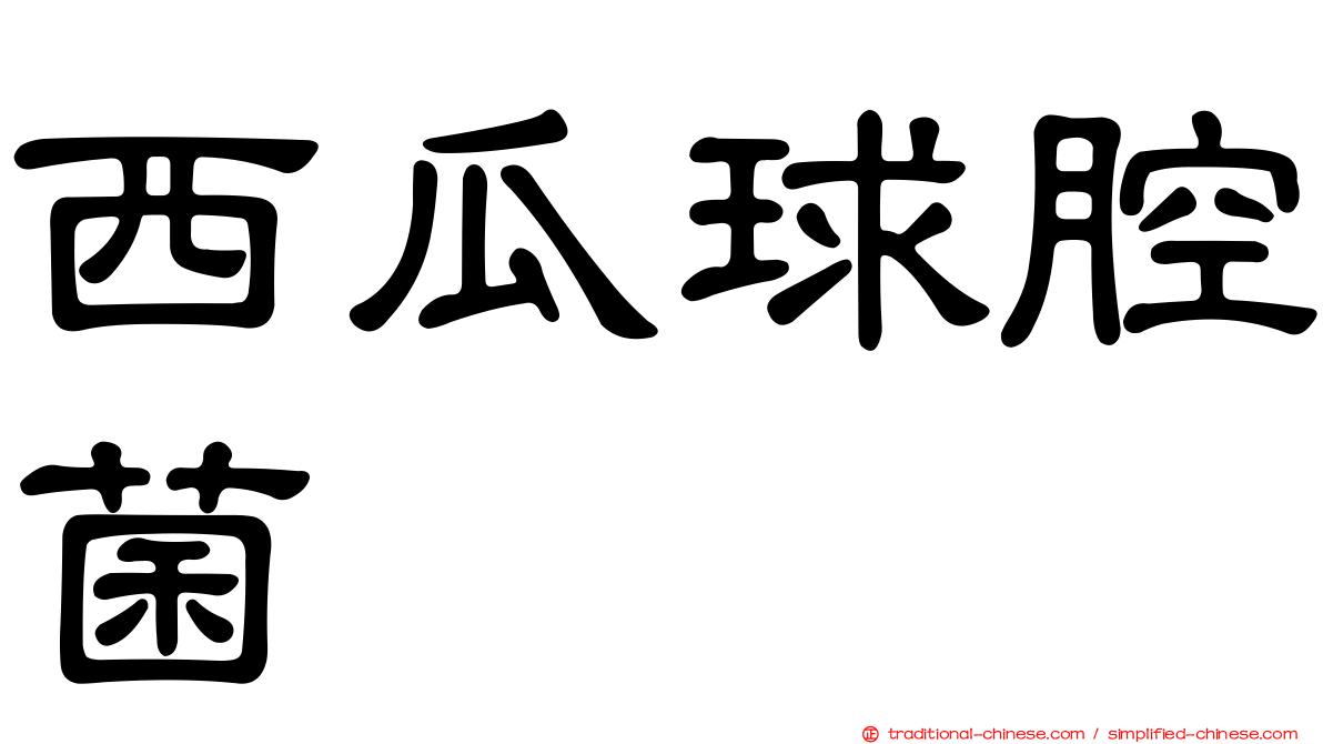 西瓜球腔菌