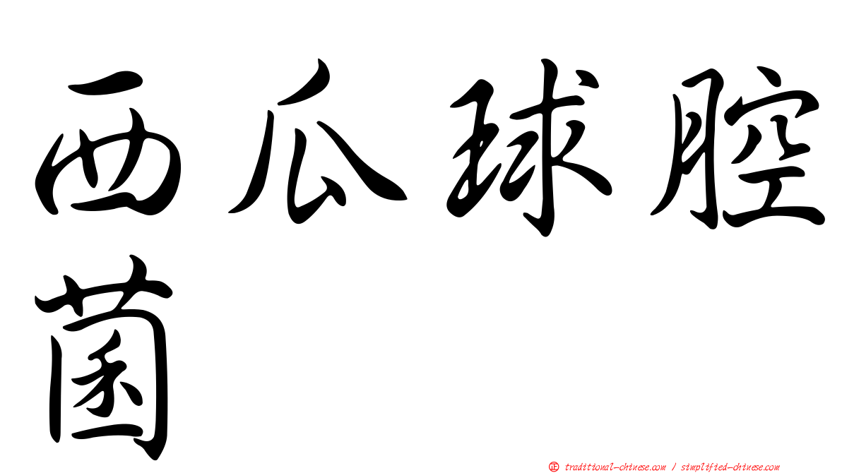西瓜球腔菌