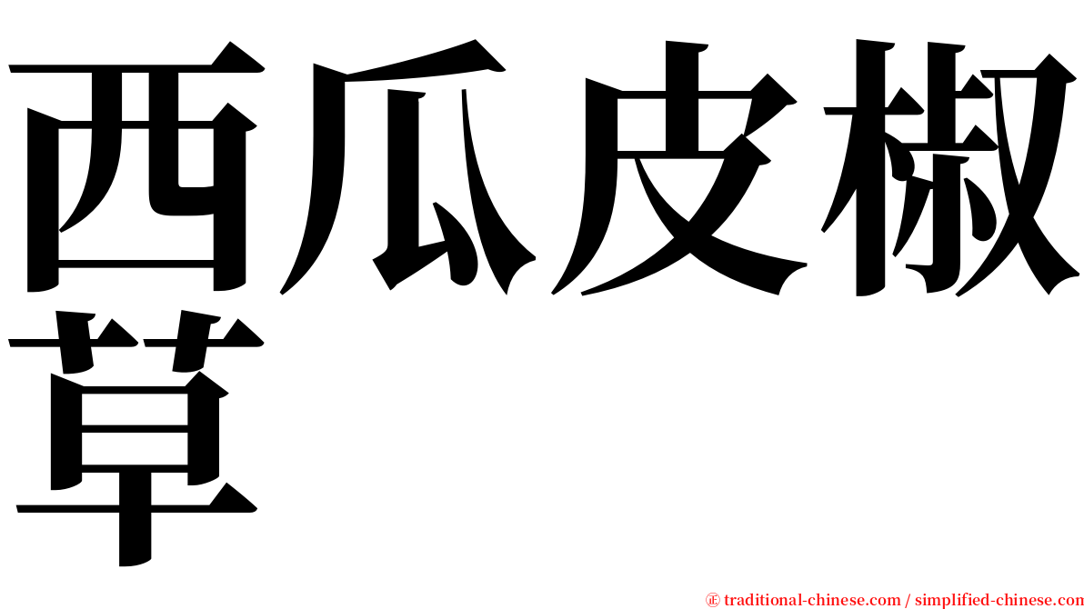 西瓜皮椒草 serif font