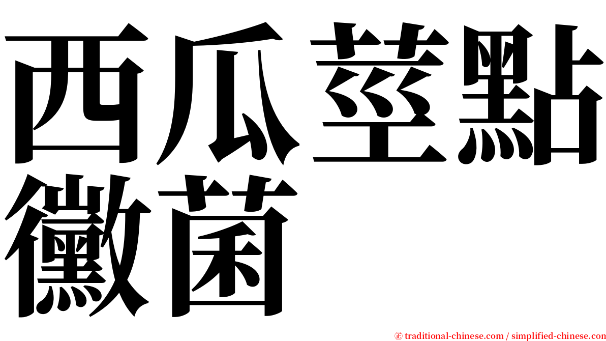 西瓜莖點黴菌 serif font