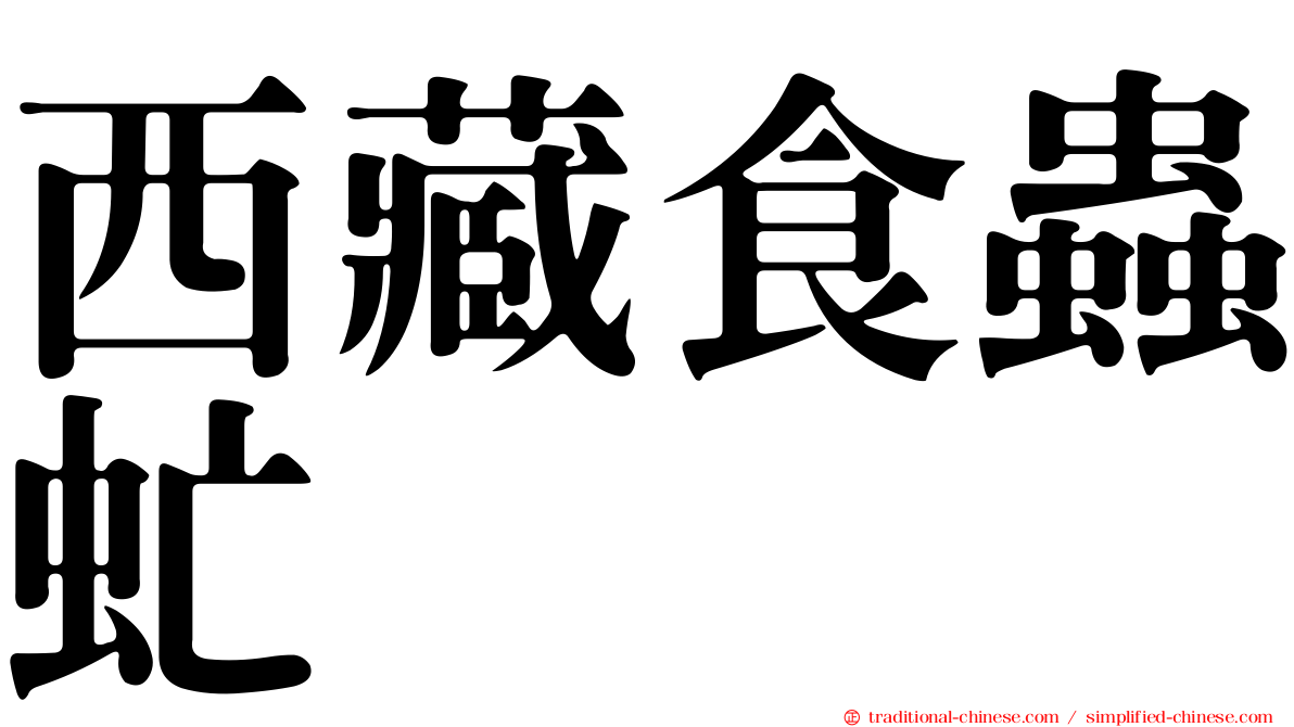 西藏食蟲虻