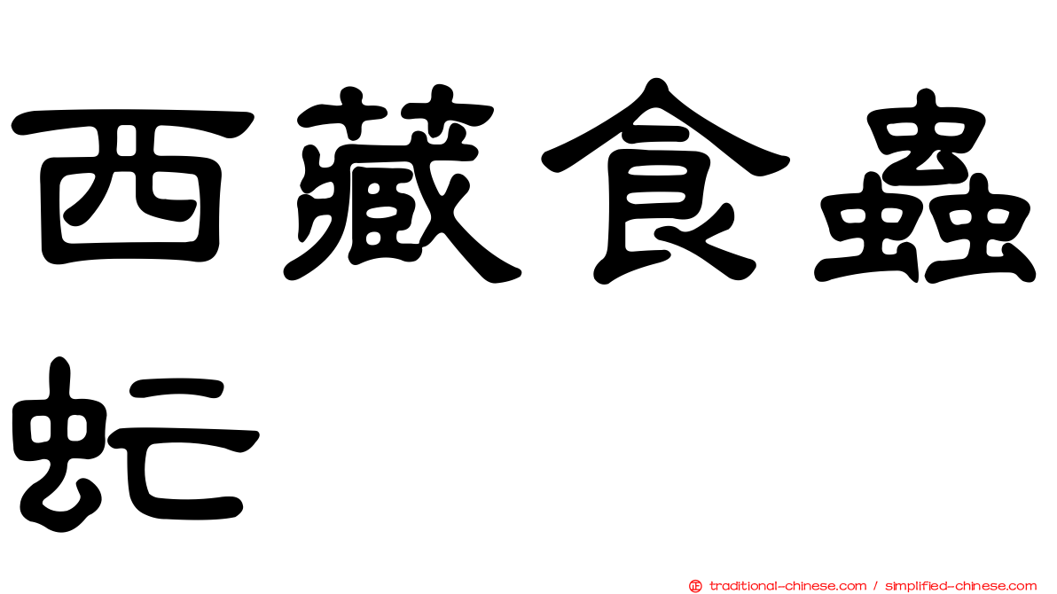 西藏食蟲虻