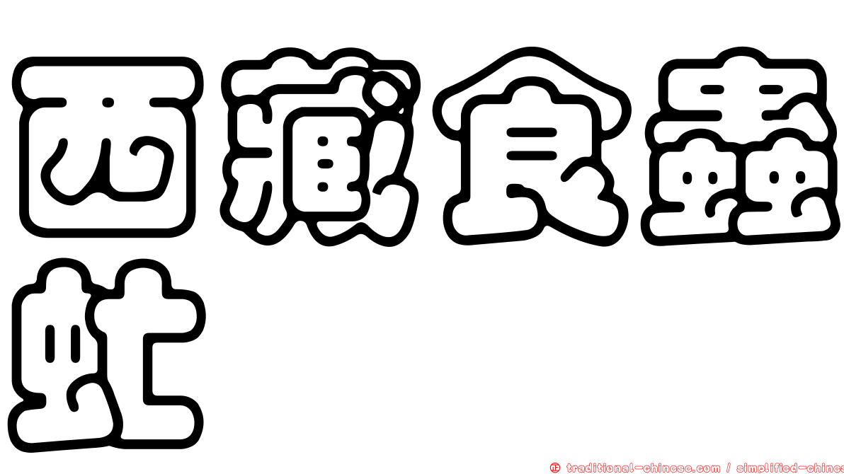 西藏食蟲虻