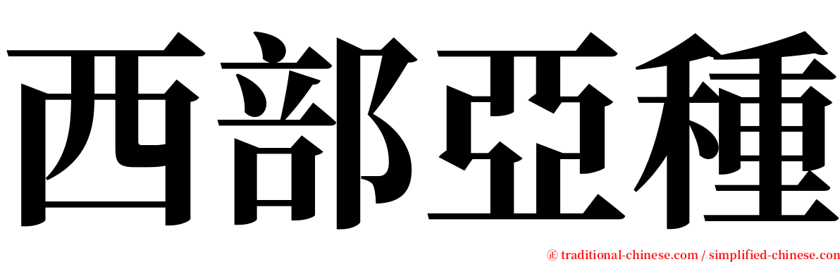 西部亞種 serif font