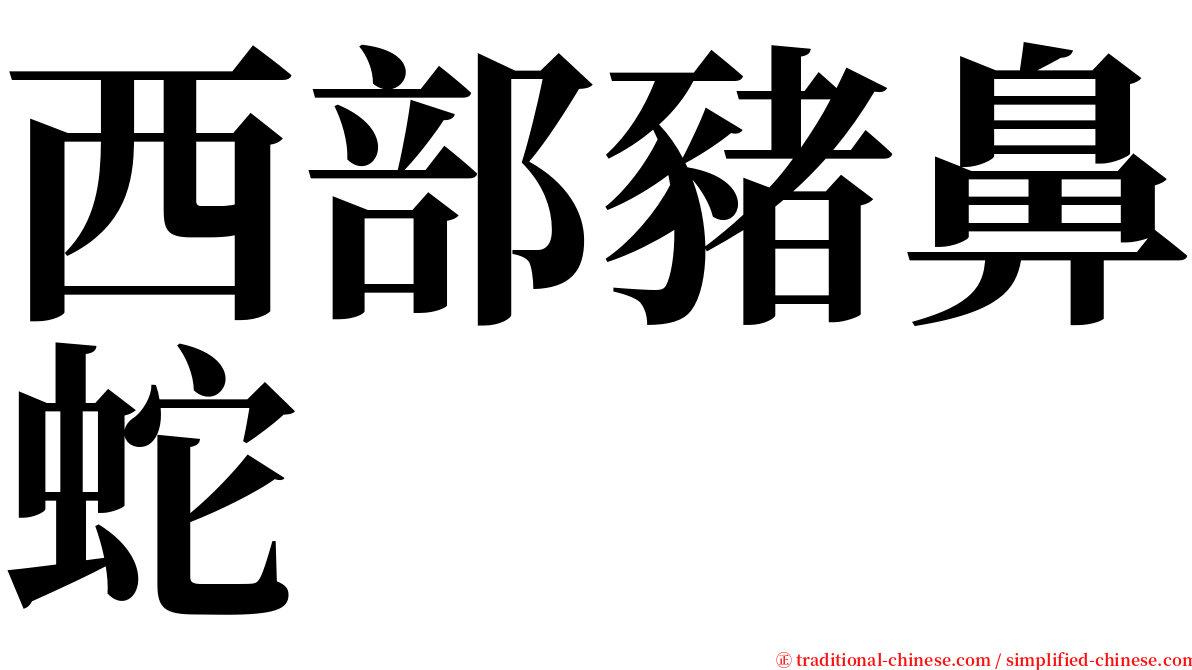 西部豬鼻蛇 serif font