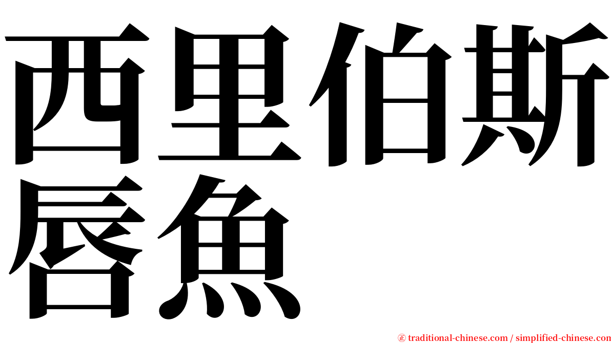 西里伯斯唇魚 serif font