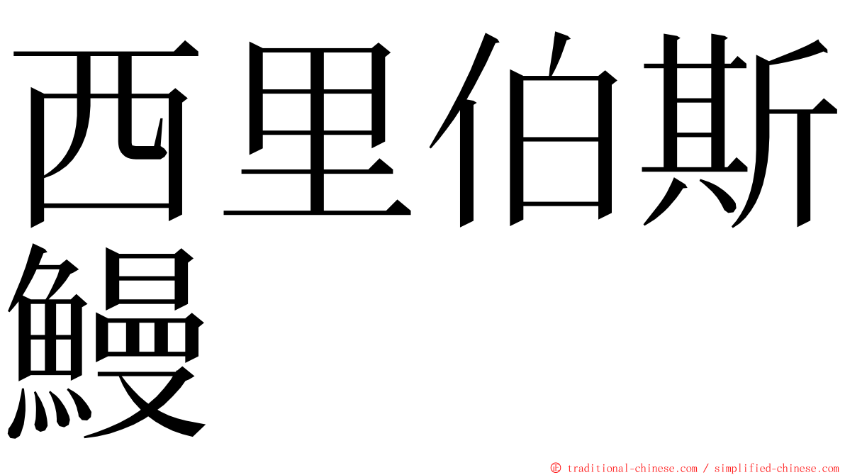 西里伯斯鰻 ming font